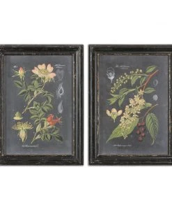Uttermost Midnight Botanicals Wall Art S/2