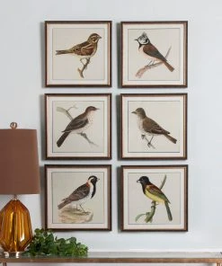 Uttermost Spring Soldiers Bird Prints, S/6 Wall Art