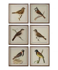 Uttermost Spring Soldiers Bird Prints, S/6 Wall Art