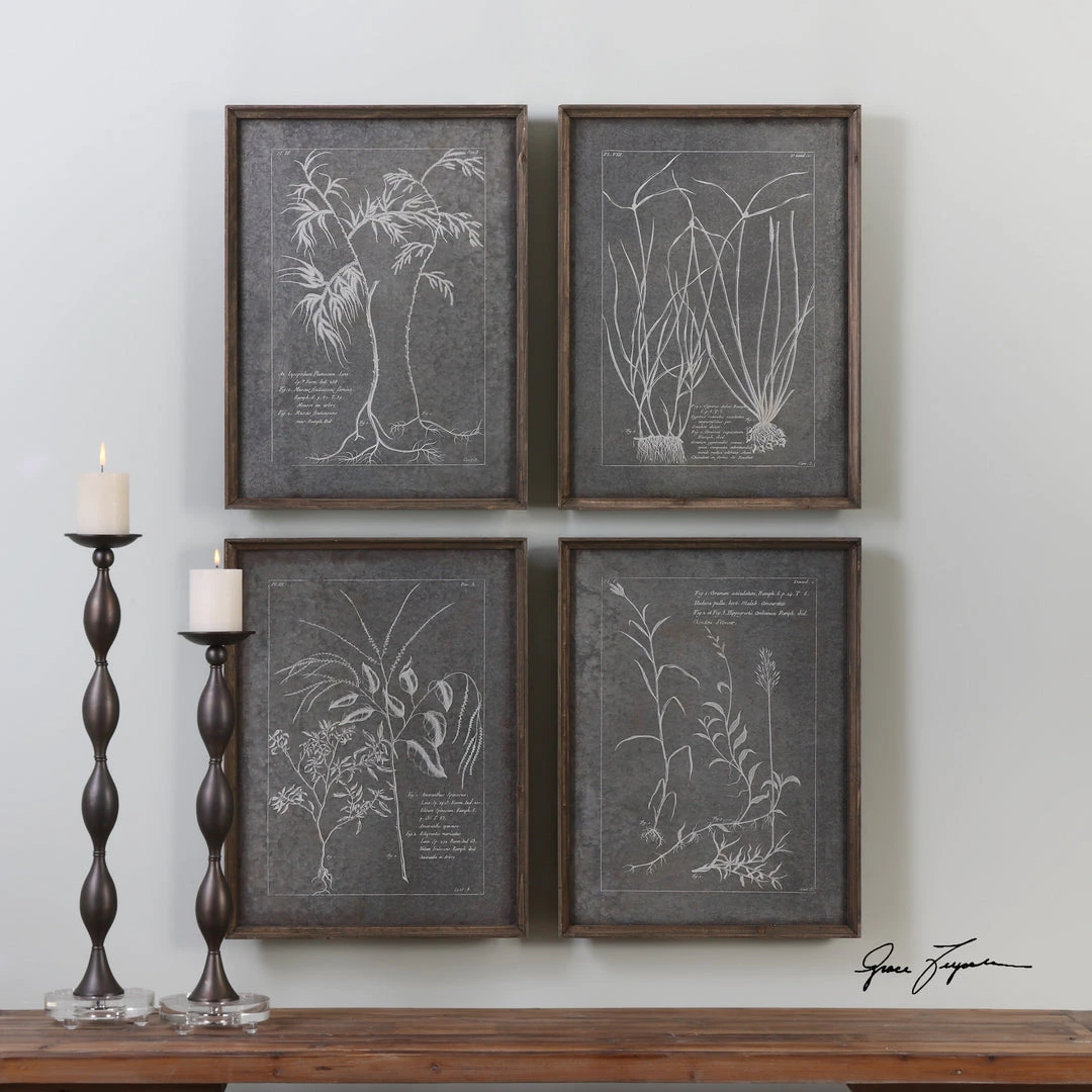 Wall Art Uttermost Root Study Print Art S/4 4 Wall Art Uttermost Root Study Print Art S/4