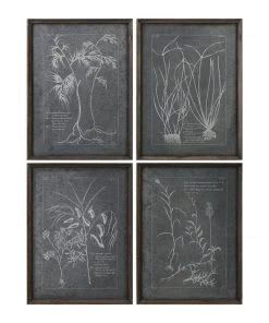 Wall Art Uttermost Root Study Print Art S/4