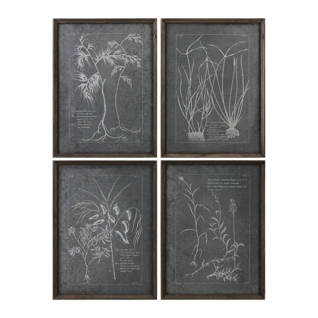 Wall Art Uttermost Root Study Print Art S/4 3 Wall Art Uttermost Root Study Print Art S/4