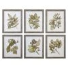 Wall Art Uttermost Seedlings Framed Prints S/6