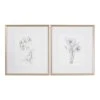 Uttermost Botanical Sketches Framed Prints S/2