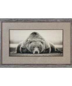 Wall Art Uttermost Deep Sleep Bear Print