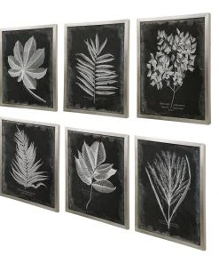 Uttermost Foliage Framed Prints, S/6