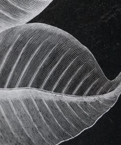 Uttermost Foliage Framed Prints, S/6