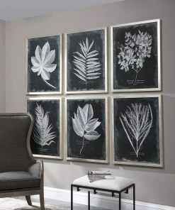 Uttermost Foliage Framed Prints, S/6