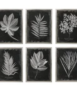 Uttermost Foliage Framed Prints, S/6