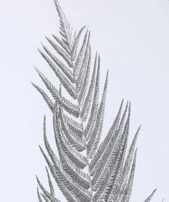 Wall Art Uttermost Silver Ferns Framed Prints Set/2