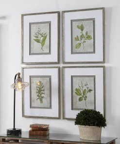 Uttermost Stem Study Framed Prints Set/4 Wall Art