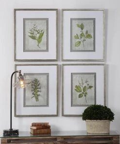 Uttermost Stem Study Framed Prints Set/4 Wall Art