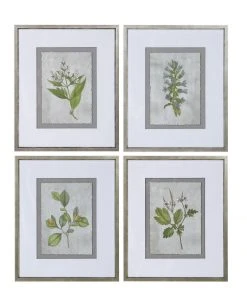Uttermost Stem Study Framed Prints Set/4 Wall Art