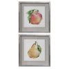 Uttermost Designer Fruits Framed Prints, Set/2 Wall Art