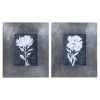 Uttermost Dream Leaves Floral Prints, S/2 Wall Art