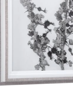 Uttermost Contemporary Botanicals Framed Prints, S/12