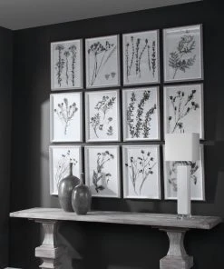 Uttermost Contemporary Botanicals Framed Prints, S/12