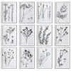 Uttermost Contemporary Botanicals Framed Prints, S/12 1 Uttermost Contemporary Botanicals Framed Prints, S/12