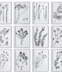 Uttermost Contemporary Botanicals Framed Prints, S/12