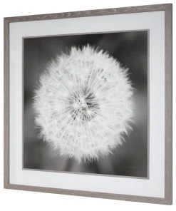 Wall Art Uttermost Dandelion Seedhead Framed Print
