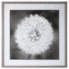 Wall Art Uttermost Dandelion Seedhead Framed Print