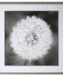 Wall Art Uttermost Dandelion Seedhead Framed Print