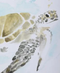 Wall Art Uttermost Sea Turtle Study Watercolor Prints, S/2
