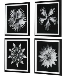 Wall Art Uttermost Contemporary Floret Framed Prints, S/4 9 Wall Art Uttermost Contemporary Floret Framed Prints, S/4
