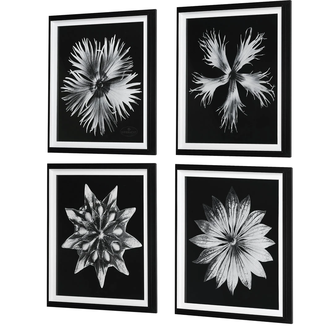 Wall Art Uttermost Contemporary Floret Framed Prints, S/4 6 Wall Art Uttermost Contemporary Floret Framed Prints, S/4