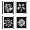 Wall Art Uttermost Contemporary Floret Framed Prints, S/4