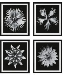 Wall Art Uttermost Contemporary Floret Framed Prints, S/4