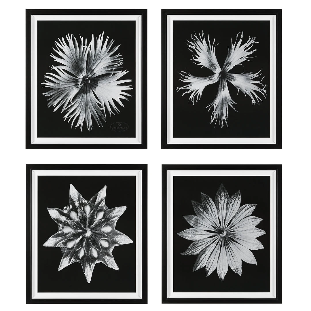 Wall Art Uttermost Contemporary Floret Framed Prints, S/4 4 Wall Art Uttermost Contemporary Floret Framed Prints, S/4