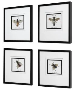 Wall Art Uttermost Anthophila Framed Prints, S/4