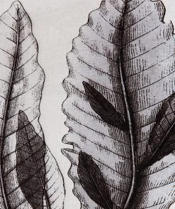 Wall Art Uttermost Sea Living Framed Prints, S/8