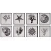 Wall Art Uttermost Sea Living Framed Prints, S/8