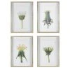 Uttermost Wildflowers Gold Framed Prints, S/4 1 Uttermost Wildflowers Gold Framed Prints, S/4