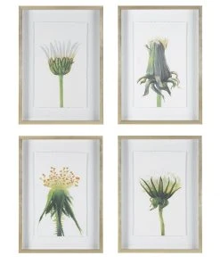 Uttermost Wildflowers Gold Framed Prints, S/4