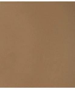 DECOR Uttermost Wild Framed Print