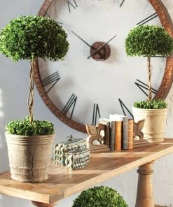 Uttermost Tree Topiary Preserved Boxwood DECOR 7 Uttermost Tree Topiary Preserved Boxwood DECOR