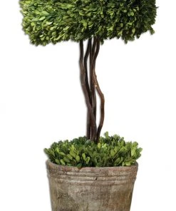 Uttermost Tree Topiary Preserved Boxwood DECOR