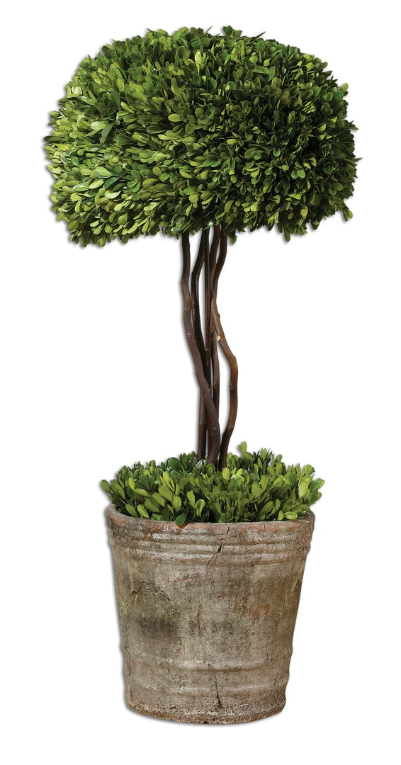 Uttermost Tree Topiary Preserved Boxwood DECOR 3 Uttermost Tree Topiary Preserved Boxwood DECOR