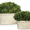 Uttermost Oval Domes Preserved Boxwood Set/2 DECOR