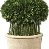 Uttermost Willow Topiary Preserved Boxwood DECOR 2 Uttermost Willow Topiary Preserved Boxwood DECOR