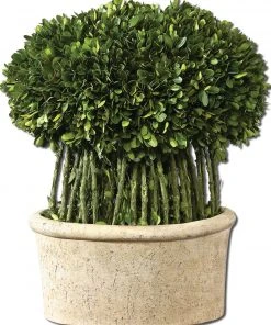 Uttermost Willow Topiary Preserved Boxwood DECOR