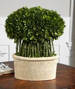 Uttermost Willow Topiary Preserved Boxwood DECOR
