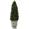 Uttermost Boxwood Cone Topiary DECOR