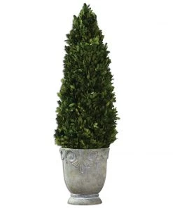 Uttermost Boxwood Cone Topiary DECOR