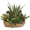 Uttermost Salar Succulents In Teak Bowl DECOR