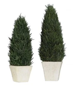 Uttermost Cypress Cone Topiaries, S/2