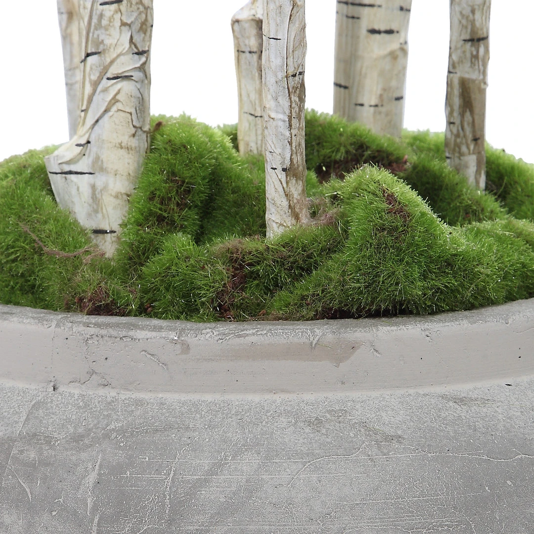 Uttermost Aldis Potted River Birch DECOR 7 Uttermost Aldis Potted River Birch DECOR